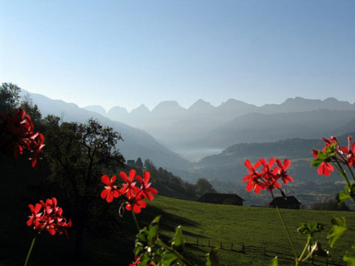 Calendar Photography of Switzerland red flowers and mountains by Tom Bochsler BP imaging