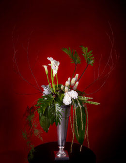 Floral Photography for Annex Publishing white flower in narrow vase Funeral Arrangement