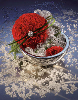 Flower Photography for Annex Publishing red flower in glass bowl Christmas arrangement