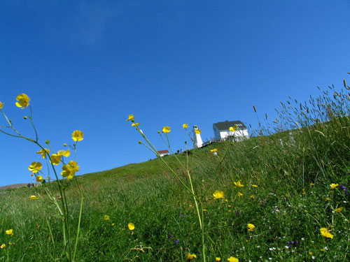 Calendar Photography Cape Spear Lighthouse St. John's, Newfoundland, Canada by Tom Bochsler BP imaging