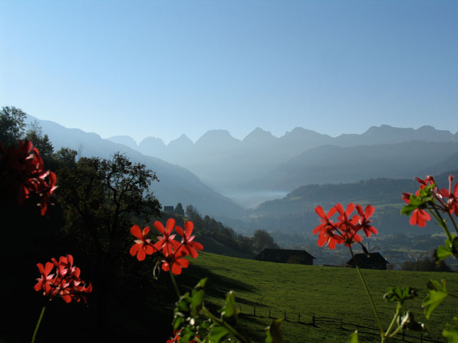 Calendar Image – July 2013 – Switzerland Travel Photography Switzerland mountains and flowers by Tom Bochsler Photo Imaging