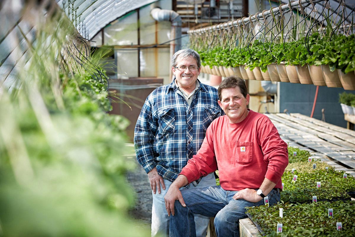 Farmer Group Portrait Photography of horticulturist in greenhouse for Longos