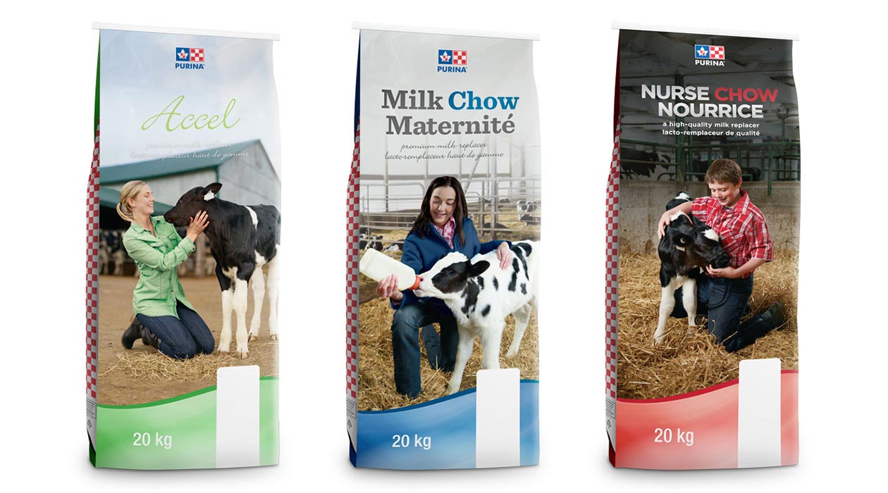 Lifestyle Packaging Photography of farmers feeding cows for Purina farm foods