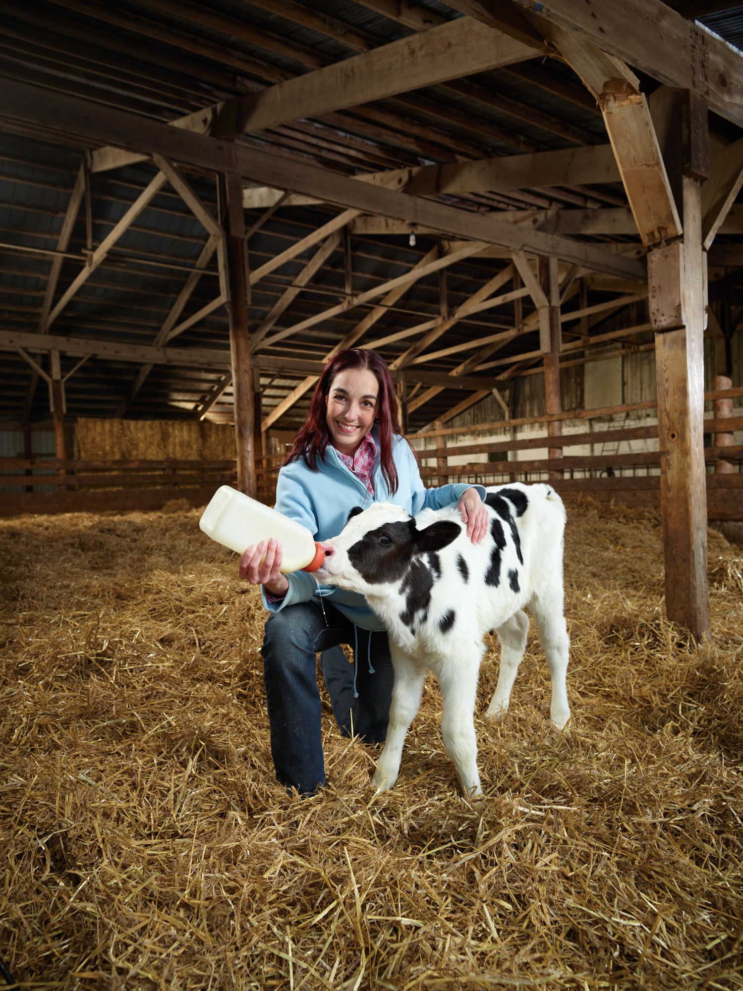 Lifestyle Photo - Feeding Baby Cow