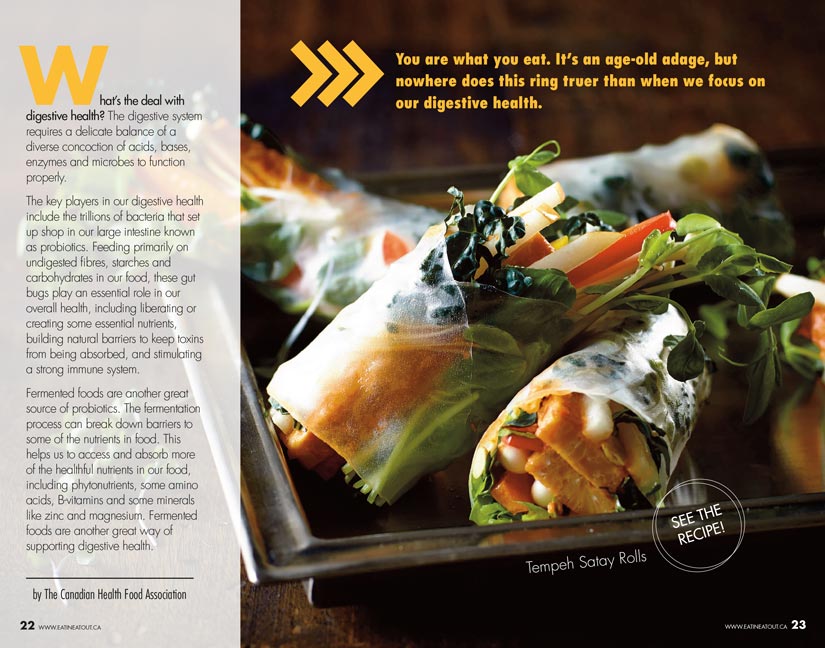 Professional food recipe photography of satay rolls for Merkato Communications and Eat in Eat out Magazine food bloggers