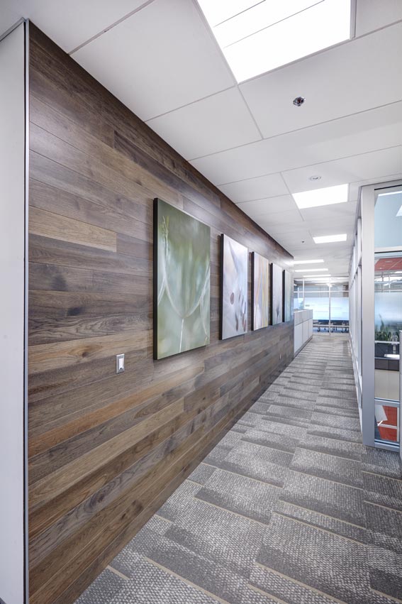 Architectural photography of modern hallway in office environment