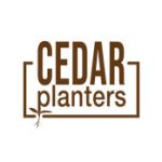 Cedar Planters